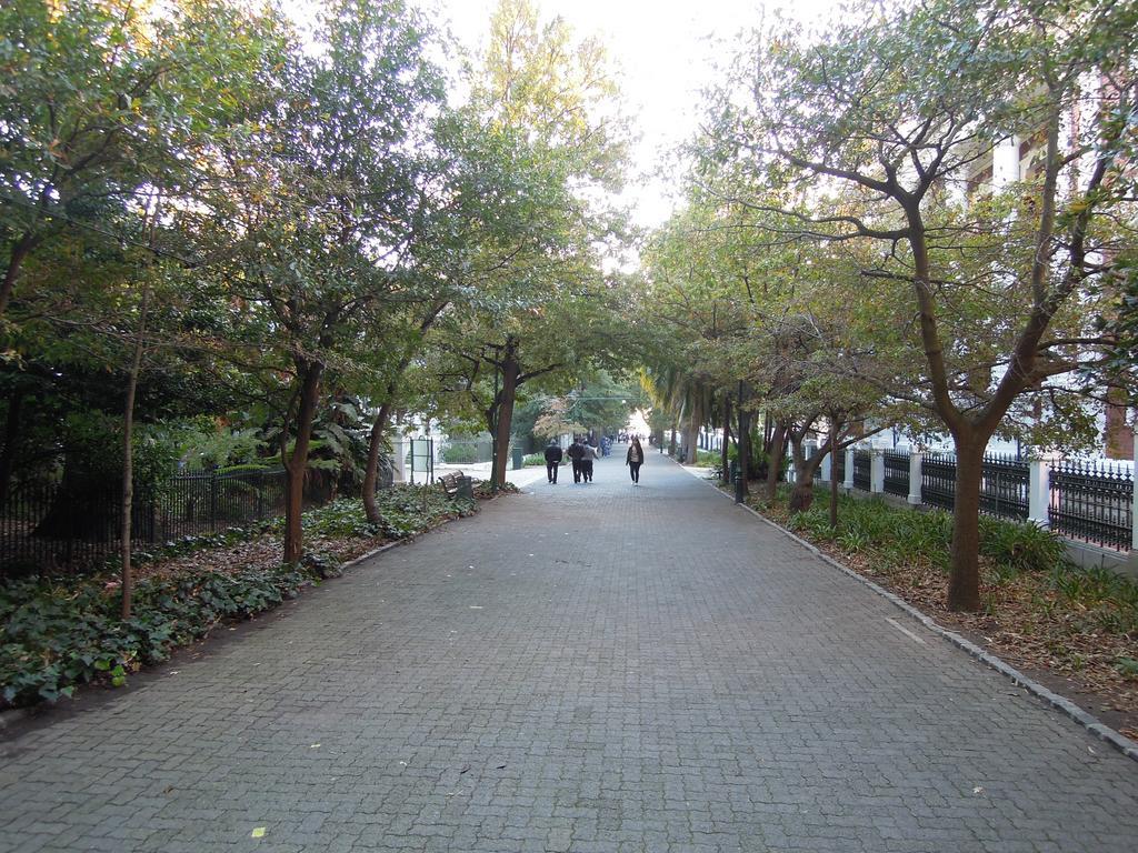 Cape Town City Luxury Apartments Ngoại thất bức ảnh
